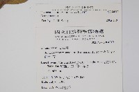 盾果草藏品圖，第2張