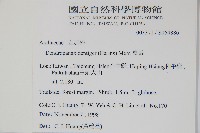 臺灣樹參藏品圖，第2張