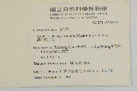 高山無心菜藏品圖，第2張