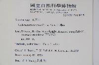 針刺草藏品圖，第2張