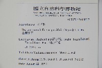 雲南冬青藏品圖，第2張