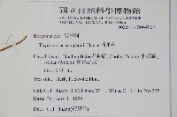 盾果草藏品圖，第2張