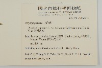 臺灣瞿麥藏品圖，第2張