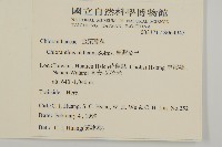 臺灣及己藏品圖，第2張