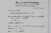 針刺草藏品圖，第2張