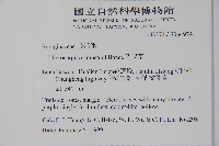 盾果草藏品圖，第2張