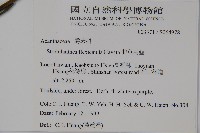 曲莖馬藍藏品圖，第2張