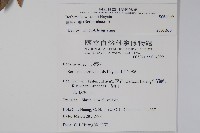 臺灣小蘗藏品圖，第2張