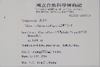 臺灣附地草藏品圖，第2張