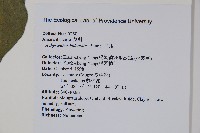 牛膝藏品圖，第2張