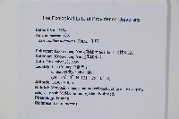 牛膝藏品圖，第2張