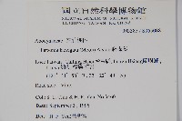 爬森藤藏品圖，第2張