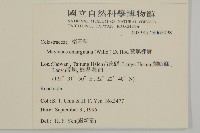 蘭嶼裸實藏品圖，第2張