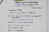 臺灣牛嬭菜藏品圖，第2張