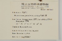 蘭嶼裸實藏品圖，第2張