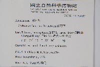 針刺草藏品圖，第2張