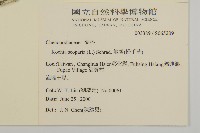 地膚、掃手草藏品圖，第2張