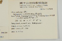 裸花鹼蓬藏品圖，第2張