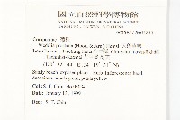 天蓬草舅藏品圖，第2張