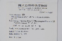 蓮子草藏品圖，第2張