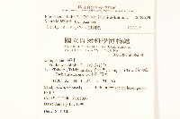 紫背草藏品圖，第2張