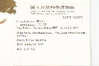 天茄兒藏品圖，第2張