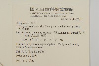 光莖飛蓬藏品圖，第2張