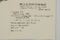 豬草藏品圖，第2張