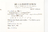 野牽牛藏品圖，第2張