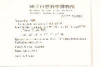 鵝仔草藏品圖，第2張