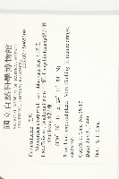 小苦瓜藏品圖，第2張