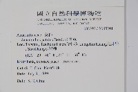 青莧藏品圖，第2張