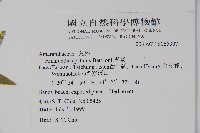 青莧藏品圖，第2張