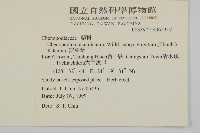 變葉藜藏品圖，第2張