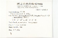 菟絲子藏品圖，第2張