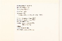 飛機草藏品圖，第2張