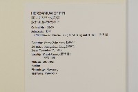 香澤蘭、飛機草藏品圖，第2張