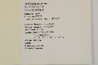 菱葉衛矛藏品圖，第2張