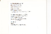 野牽牛藏品圖，第2張