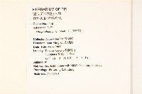 鼠麴舅藏品圖，第2張