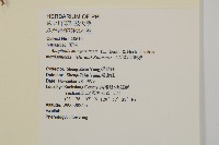 玉山抱莖籟簫藏品圖，第2張