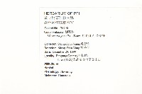 菜欒藤藏品圖，第2張