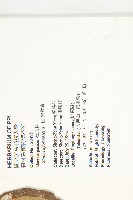 猴歡喜藏品圖，第2張