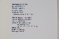 六角英, 槍刀菜藏品圖，第2張