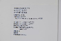 槍刀菜藏品圖，第2張