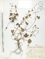 登錄號:S065669藏品圖，第1張