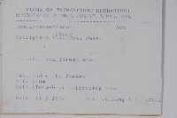 華九頭獅子草藏品圖，第2張