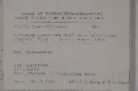 玉山莢迷藏品圖，第2張