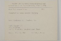 尼泊爾籟簫藏品圖，第2張