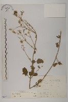 登錄號:S066801藏品圖，第1張